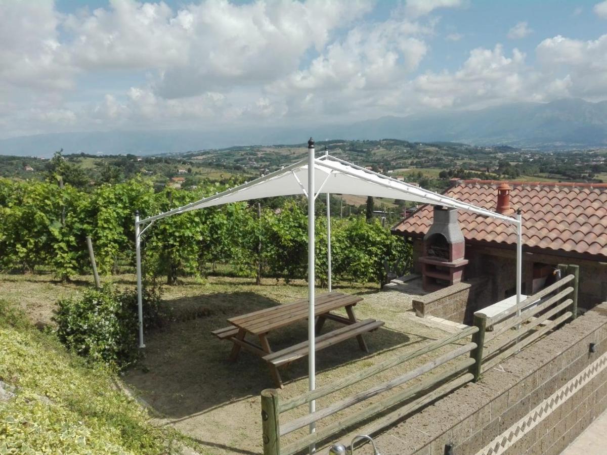 Villa Santoro Ai Tre Ulivi Con Piscina Privata Caiazzo エクステリア 写真